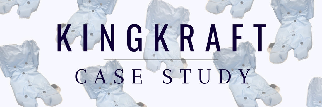 CARMO CASE STUDY - KINGCRAFT